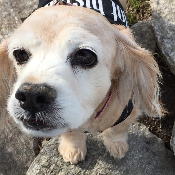 Meet your Posher, Maria - Picture 1 of 1